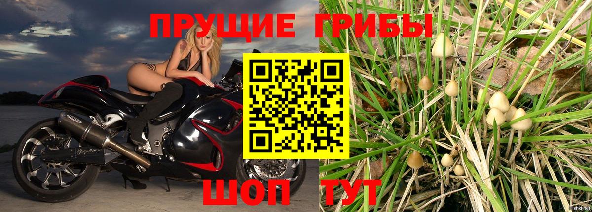 Псилоцибиновые грибы GOLDEN TEACHER  Вход с VPN  Абакан 